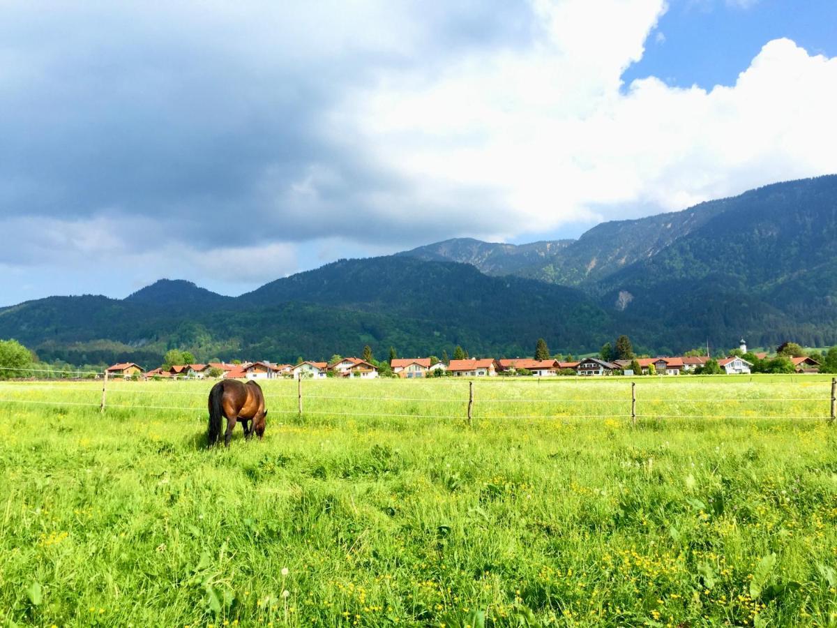 Im Herzen Von Ohlstadt Und Am Fusse Des Heimgartens Dış mekan fotoğraf